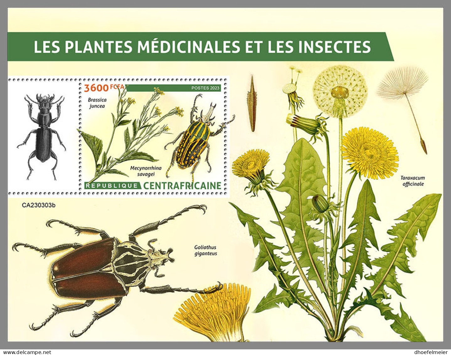 CENTRAL AFRICAN REP. 2023 MNH Medical Plants Heilpflanzen Plantes Medicinales Insects S/S - IMPERFORATED - DHQ2337 - Heilpflanzen