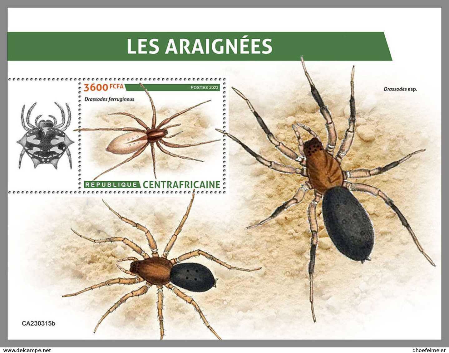CENTRAL AFRICAN REP. 2023 MNH Spiders Spinnen Araignees S/S - IMPERFORATED - DHQ2337 - Ragni