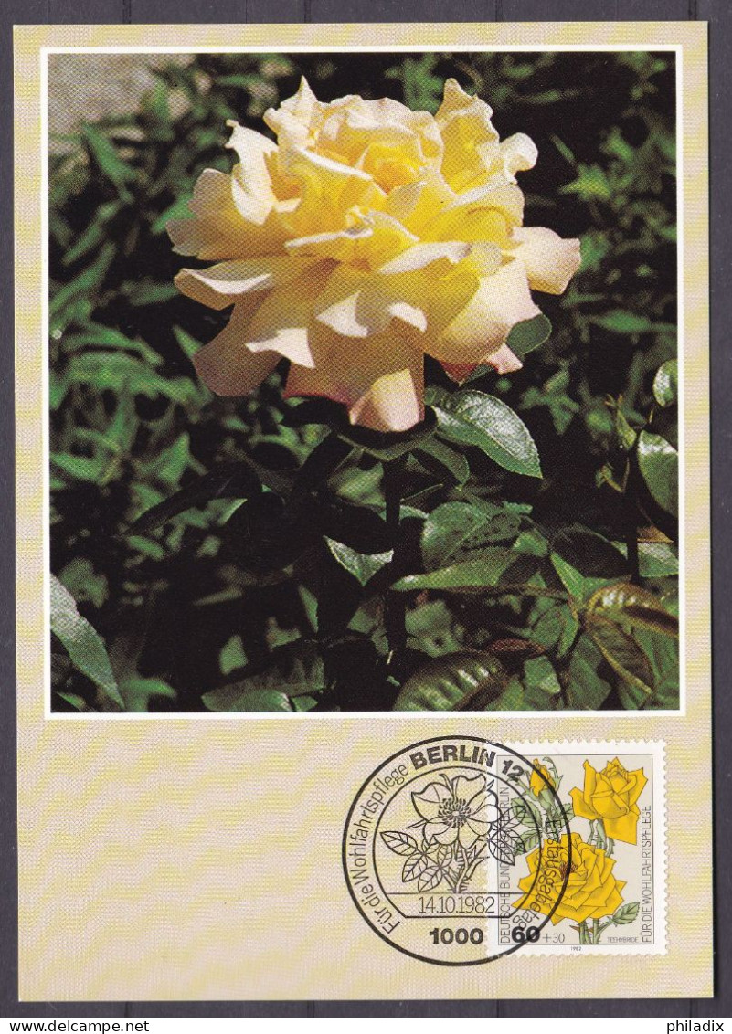 (681) Berlin Maximumkarte 1982 Wohlfahrt : Gartenrosen (MKB-1-43) - Maximum Cards