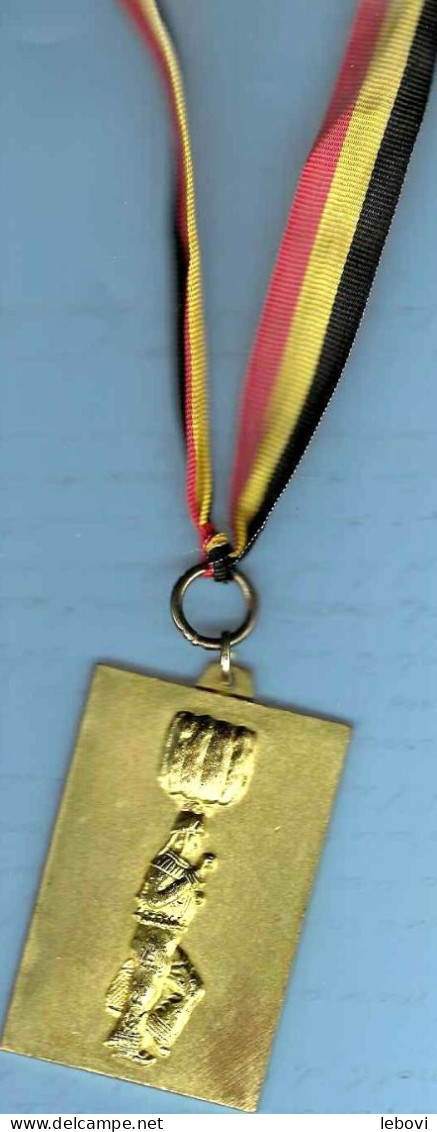 ROUVEROY Médaille De Gille – Revvers : « ROUVEROY/CROIX/15 ANS » - Professionnels / De Société