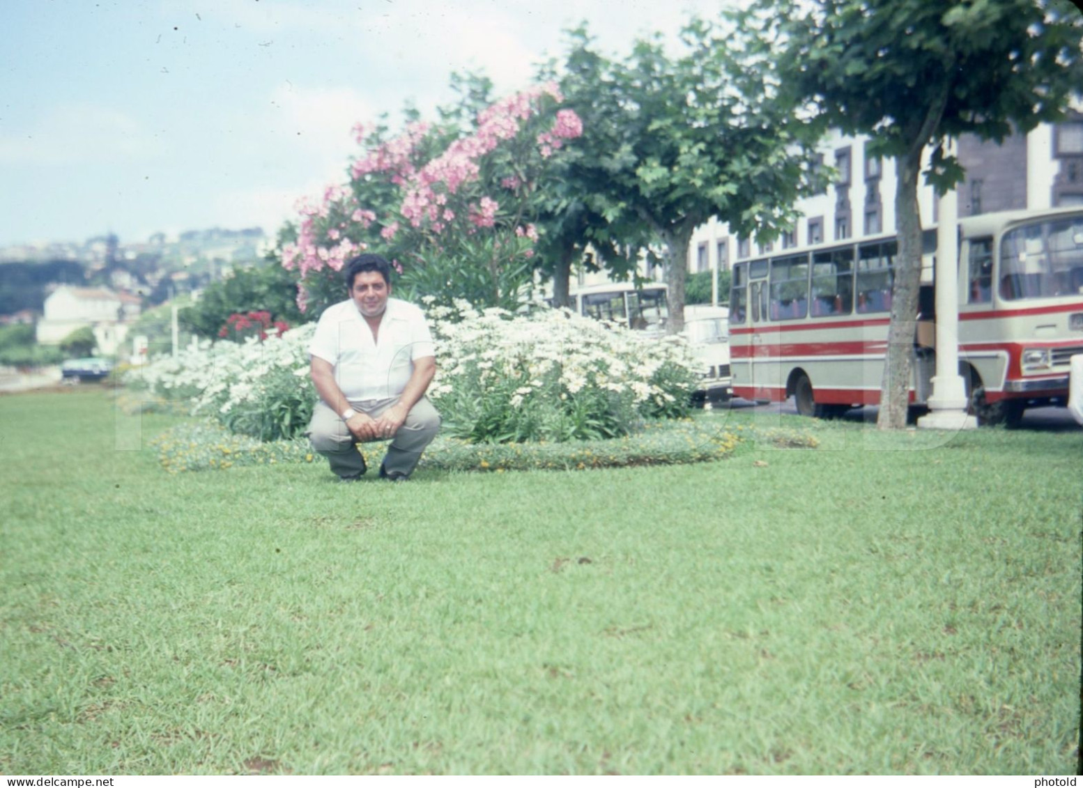 1977 AUTOCARRO BUS  ILHA DA MADEIRA PORTUGAL 35mm DIAPOSITIVE SLIDE NO PHOTO FOTO NB2715 - Diapositives