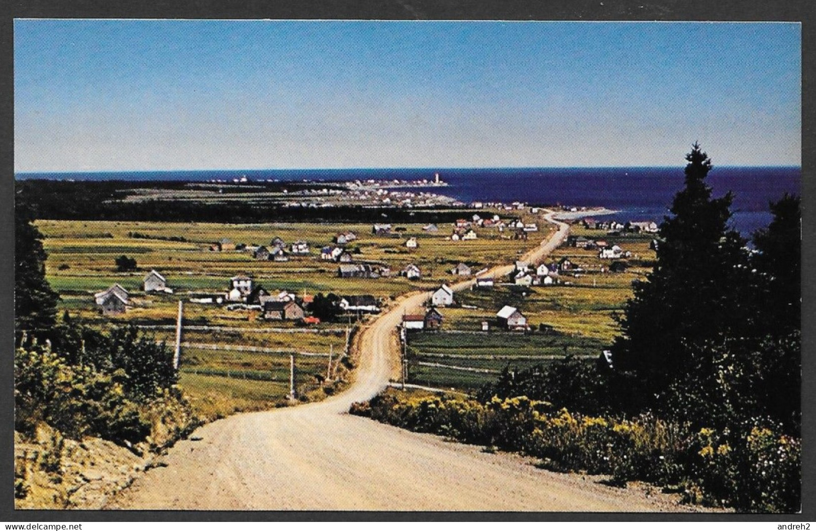 Cap Des Rosiers Gaspésie Qc. Descending Du Cap Bon Ami Belle Vue - Uncirculated  Non Circulée  Par Al Cassidy - No 3003R - Gaspé