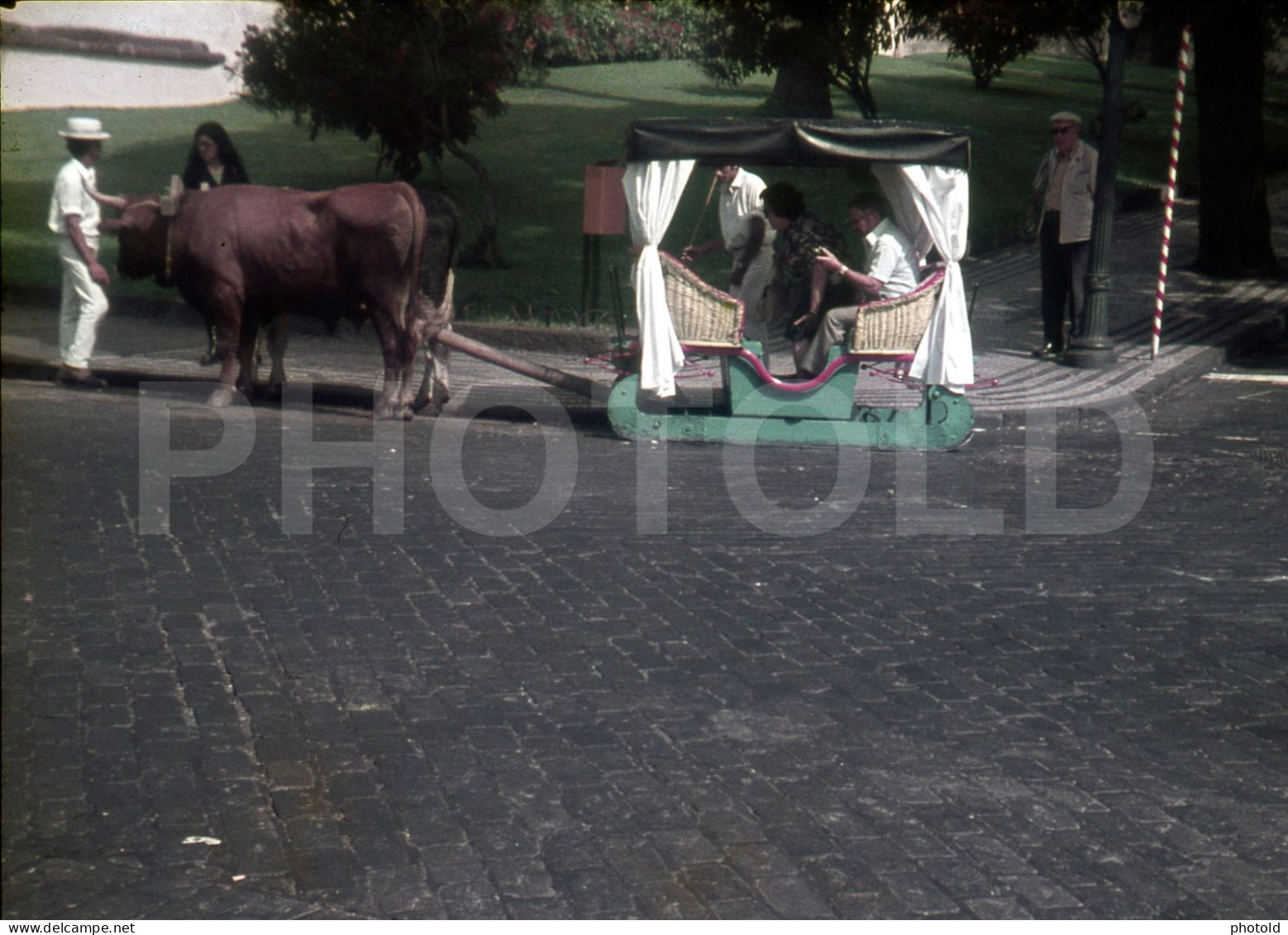 4 SLIDES SET 70s FUNCHAL ILHA DA MADEIRA PORTUGAL 35mm DIAPOSITIVE SLIDE NO PHOTO FOTO NB2717 - Diapositives