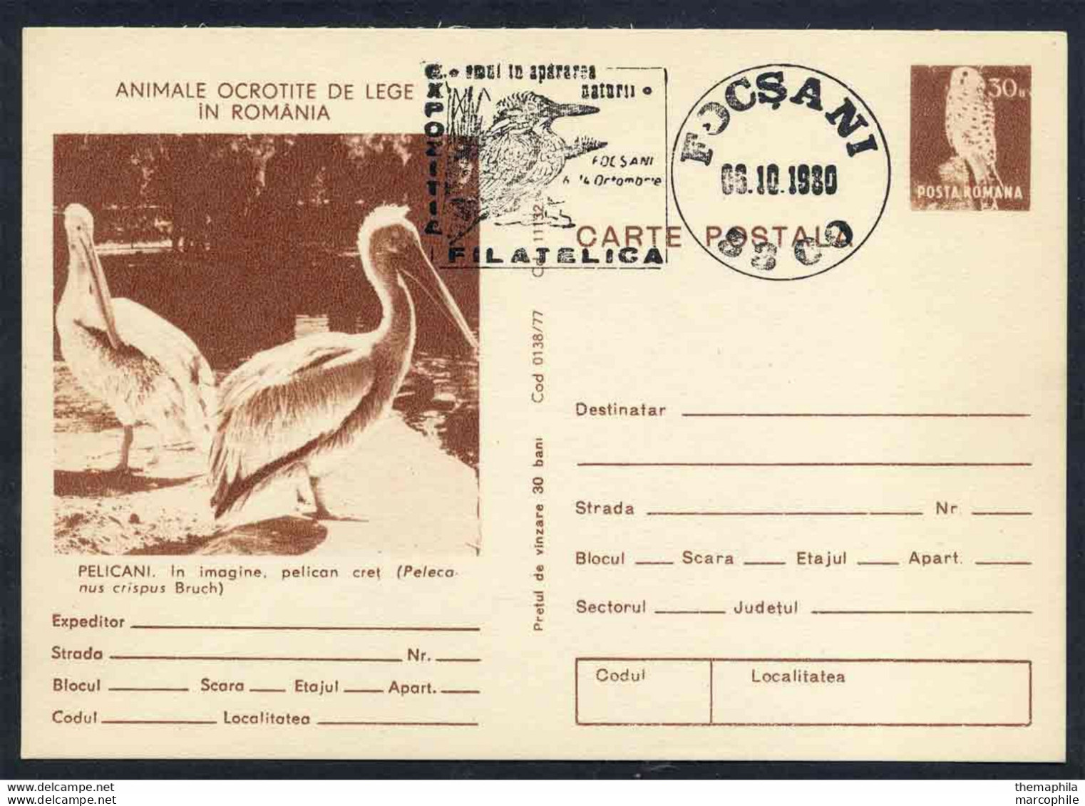 PELICAN - PELECANUS CRISPUS / 1980 ROUMANIE ENTIER POSTAL ILLUSTRE (ref 739d) - Pelicans