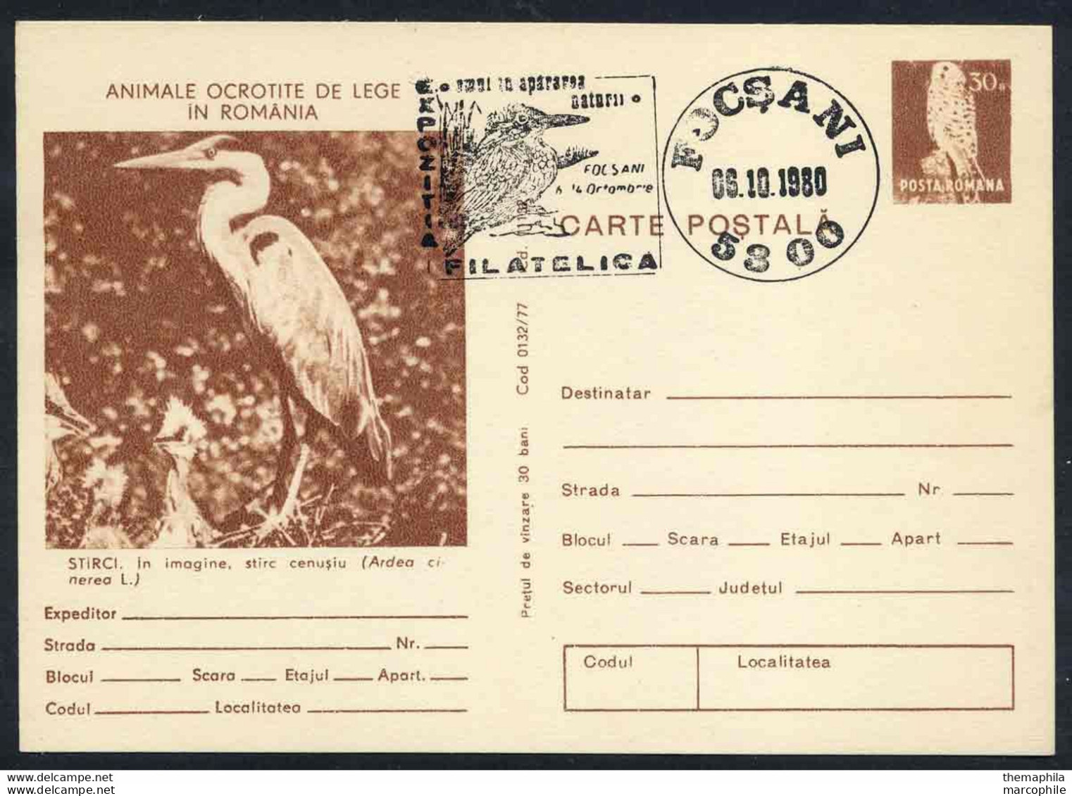 HERON CENDRE - PELICANIDE - ARDEA CINEREA / 1980 ROUMANIE ENTIER POSTAL ILLUSTRE (ref 739a) - Pelikane