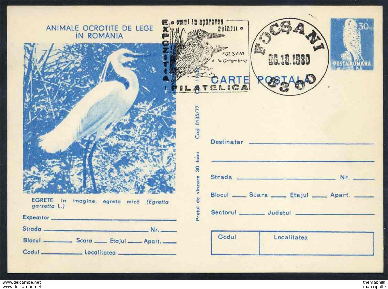 AIGRETTE GARZETTE - EGRETA GARZETTA - PELICANIFORME / 1980 ROUMANIE ENTIER POSTAL ILLUSTRE (ref 739e) - Pelicans