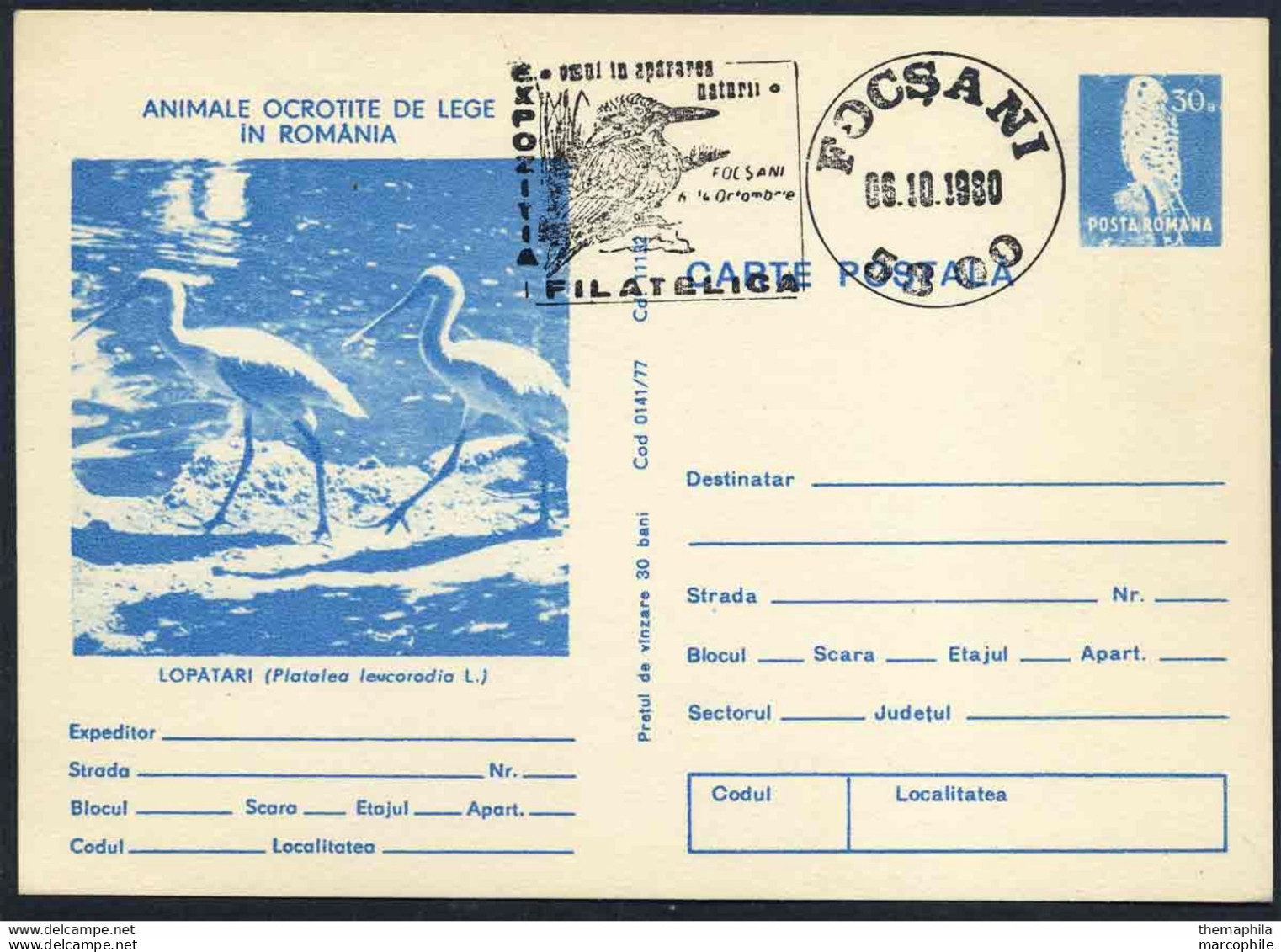 SPATULE BLANCHE - PLATALEA LEUCORODIA - PELICANIFORME / 1980 ROUMANIE ENTIER POSTAL ILLUSTRE (ref 739c) - Pelicans