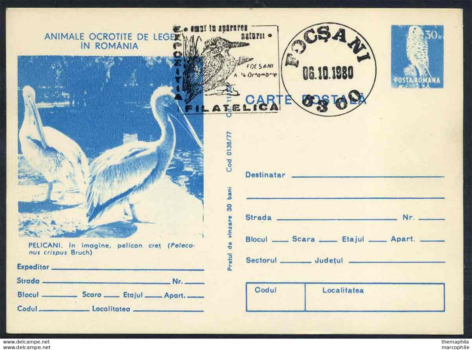 PELICAN - PELECANUS CRISPUS / 1980 ROUMANIE ENTIER POSTAL ILLUSTRE (ref 739b) - Pelicans