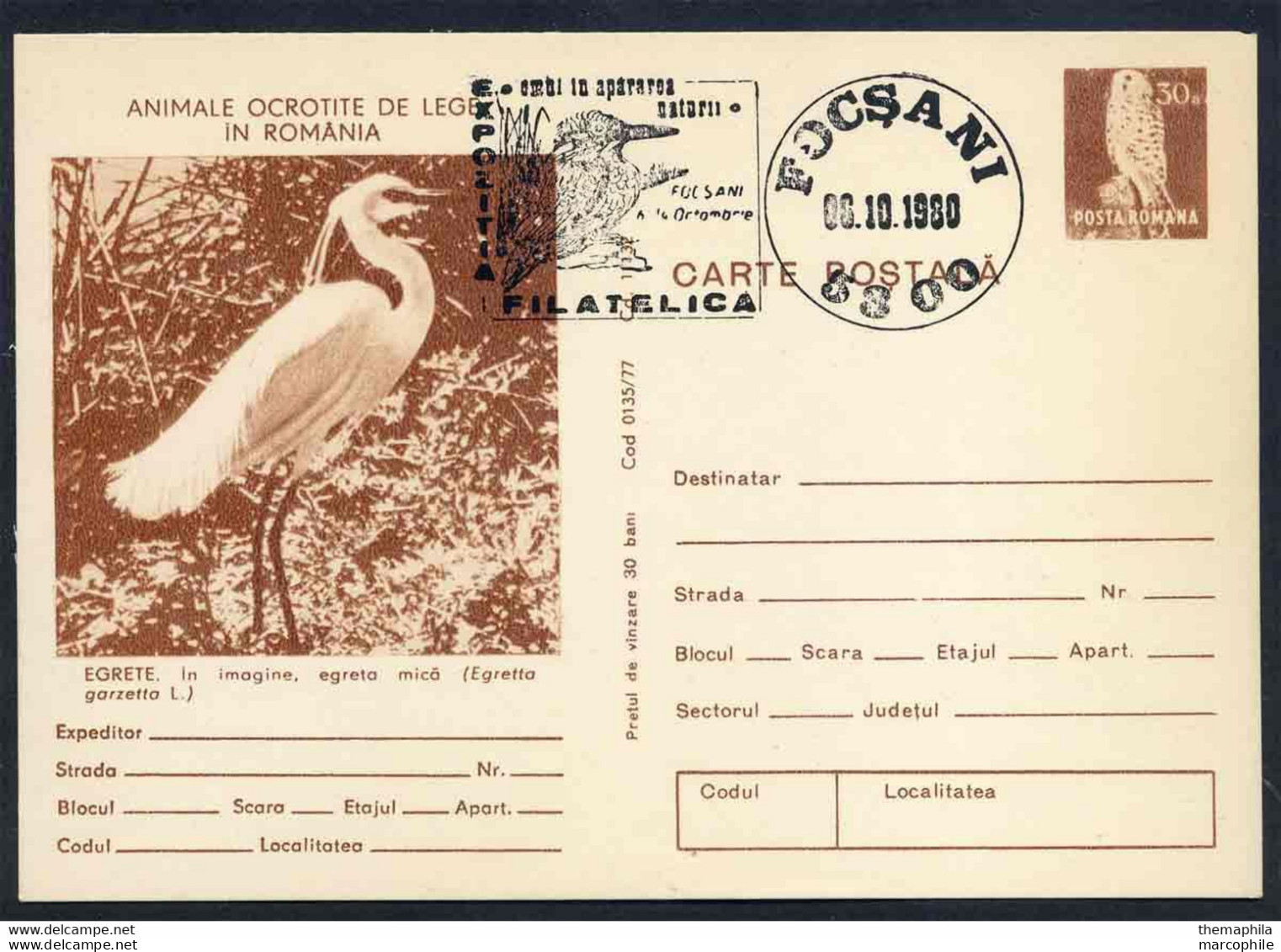 AIGRETTE GARZETTE - EGRETA GARZETTA - PELICANIFORME / 1980 ROUMANIE ENTIER POSTAL ILLUSTRE (ref 739f) - Pelicans