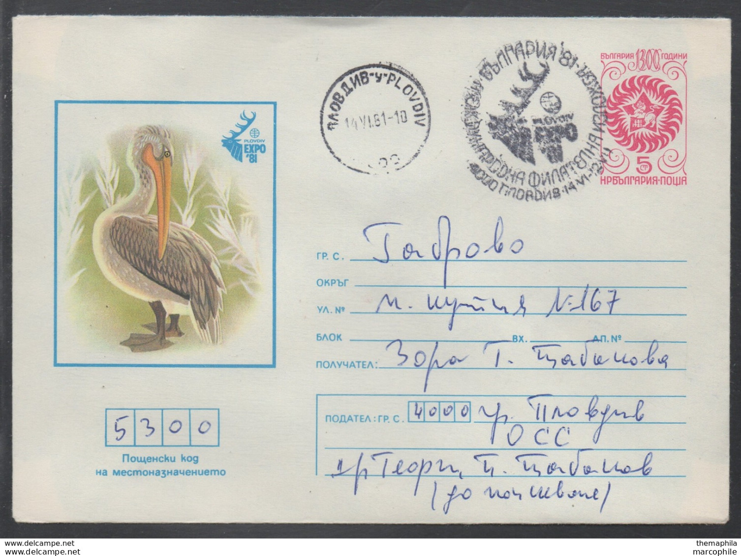 OISEAUX - PELICAN / 1981 BULGARIE - ENTIER POSTAL ILLUSTRE (ref 964a) - Pelikane