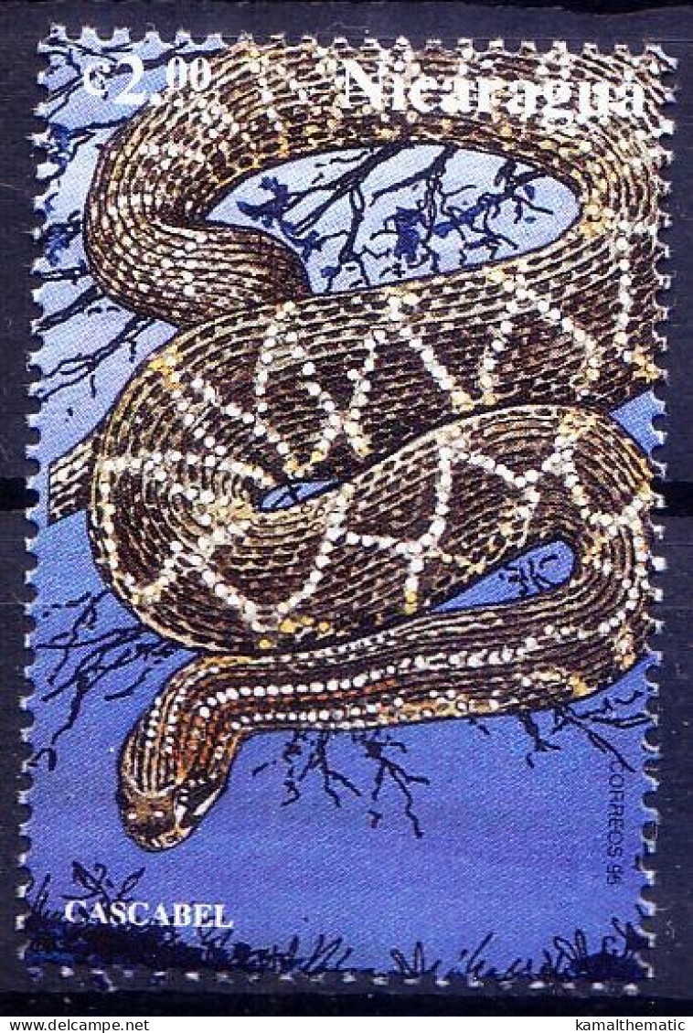 Cascabel, Rattlesnake, Reptiles, Snakes, Nicaragua 1999 MNH - Serpents