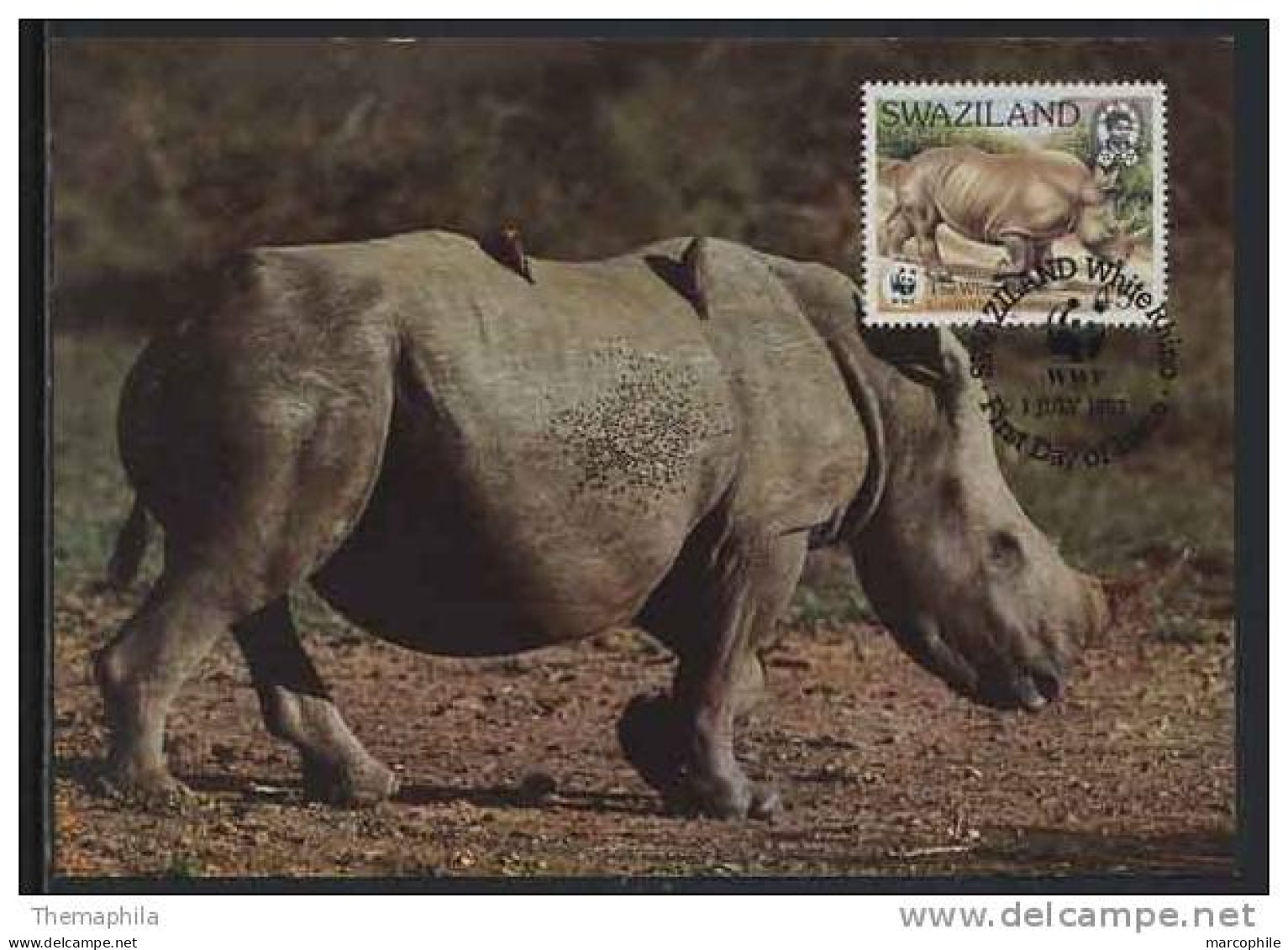 RHINOCEROS  / SWAZILAND / WWF 1987 CARTE MAXIMUM FDC (ref 2305) - Rhinoceros