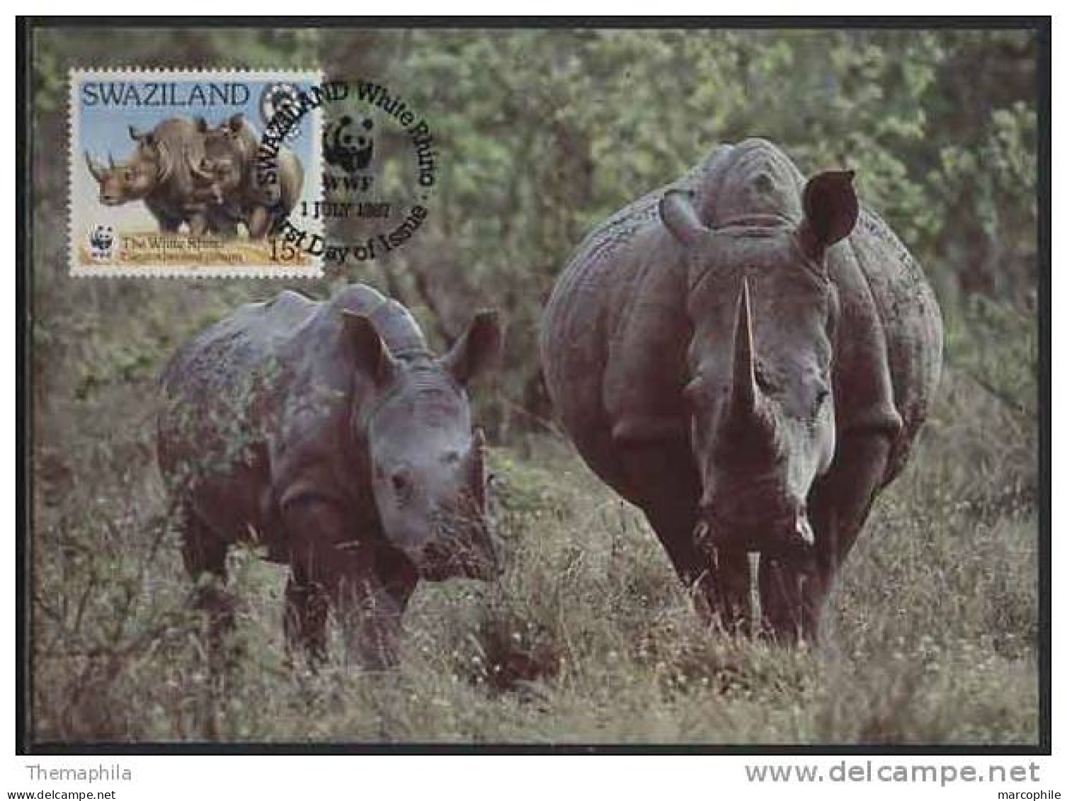 RHINOCEROS  / SWAZILAND / WWF 1987 CARTE MAXIMUM FDC (ref 2357) - Rhinoceros