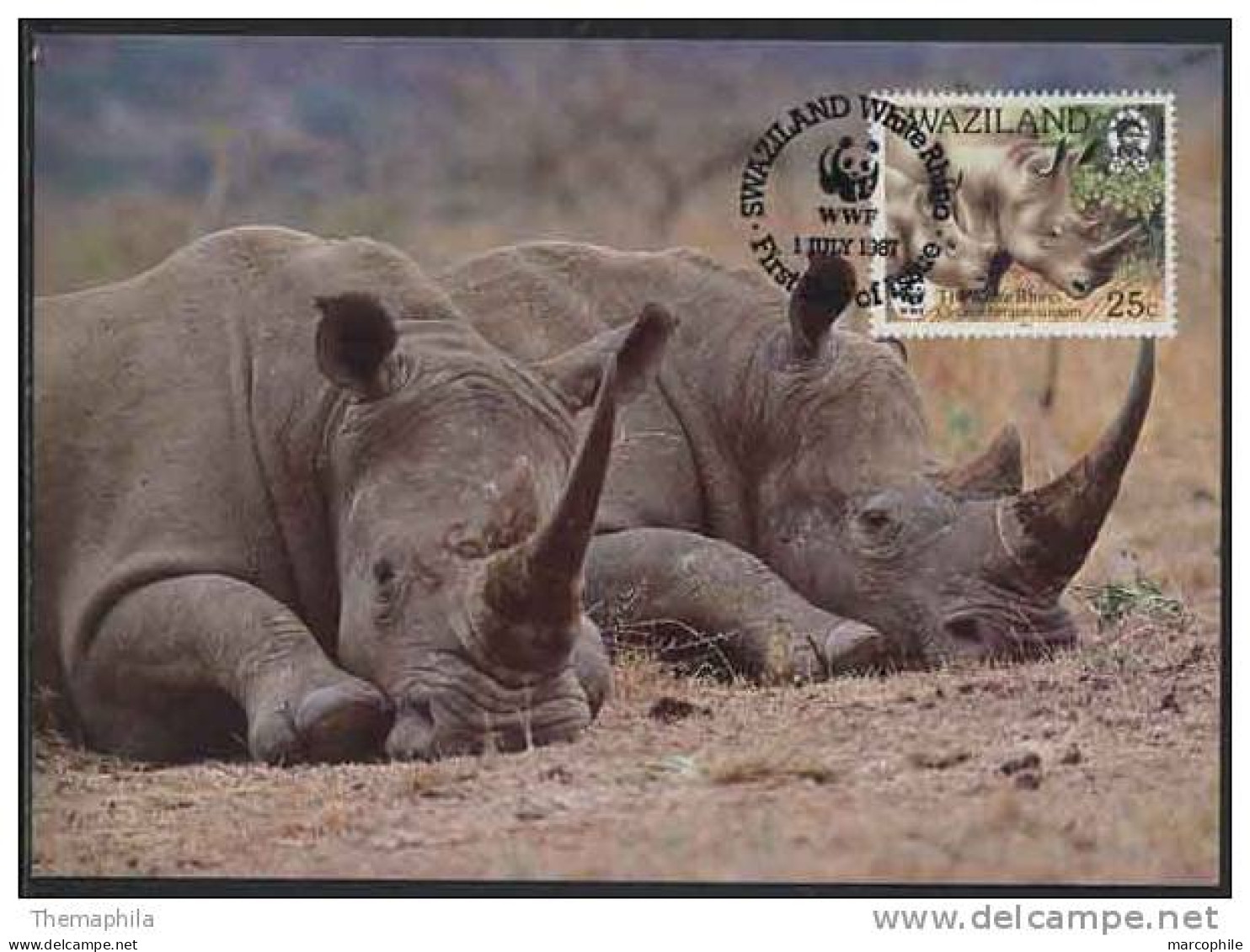 RHINOCEROS  / SWAZILAND / WWF 1987 CARTE MAXIMUM FDC (ref 2358) - Rhinoceros