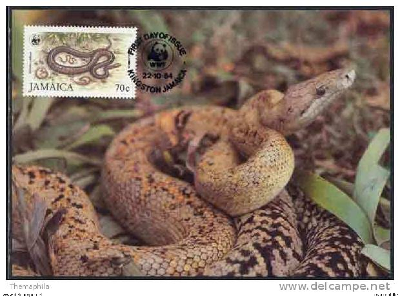 SERPENT - JAMAIQUE - WWF / 1984 CARTE MAXIMUM FDC (ref 2340) - Serpents