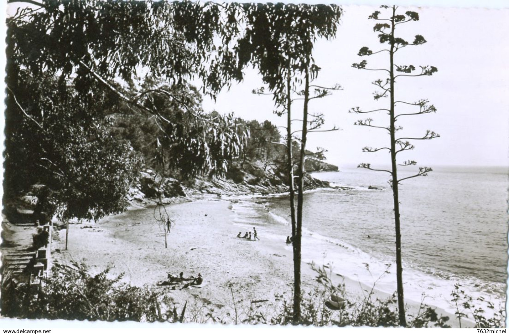 83 - LE RAYOL Environ De Cavalaire - Un Coin De Plage - Rayol-Canadel-sur-Mer