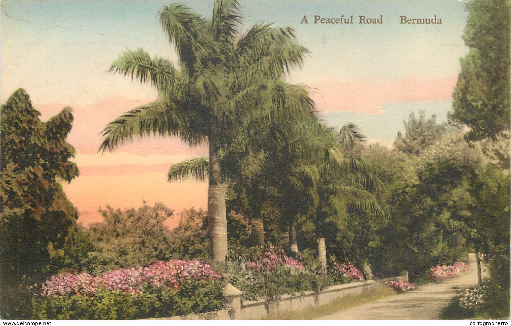 America Antilles Bermuda A Peaceful Road - Bermuda