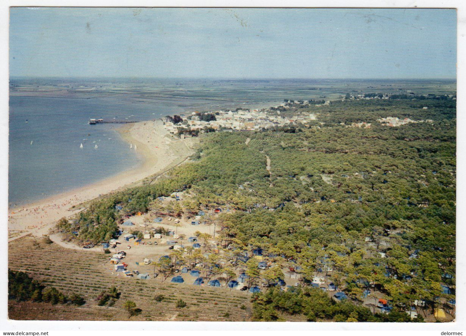 CPSM Près De Beauvoir Sur Mer Aix Fromentine La Barre Des Monts Charente Maritime Le Camping Dans Les Pins Vue Aérienne - Beauvoir Sur Mer