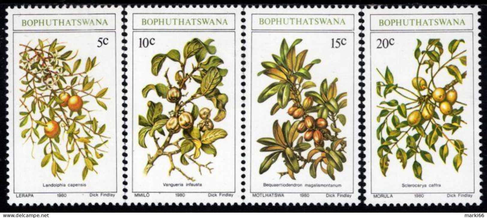 Bophuthatswana - 1980 - Edible Wild Fruits - Mint Stamp Set - Bophuthatswana