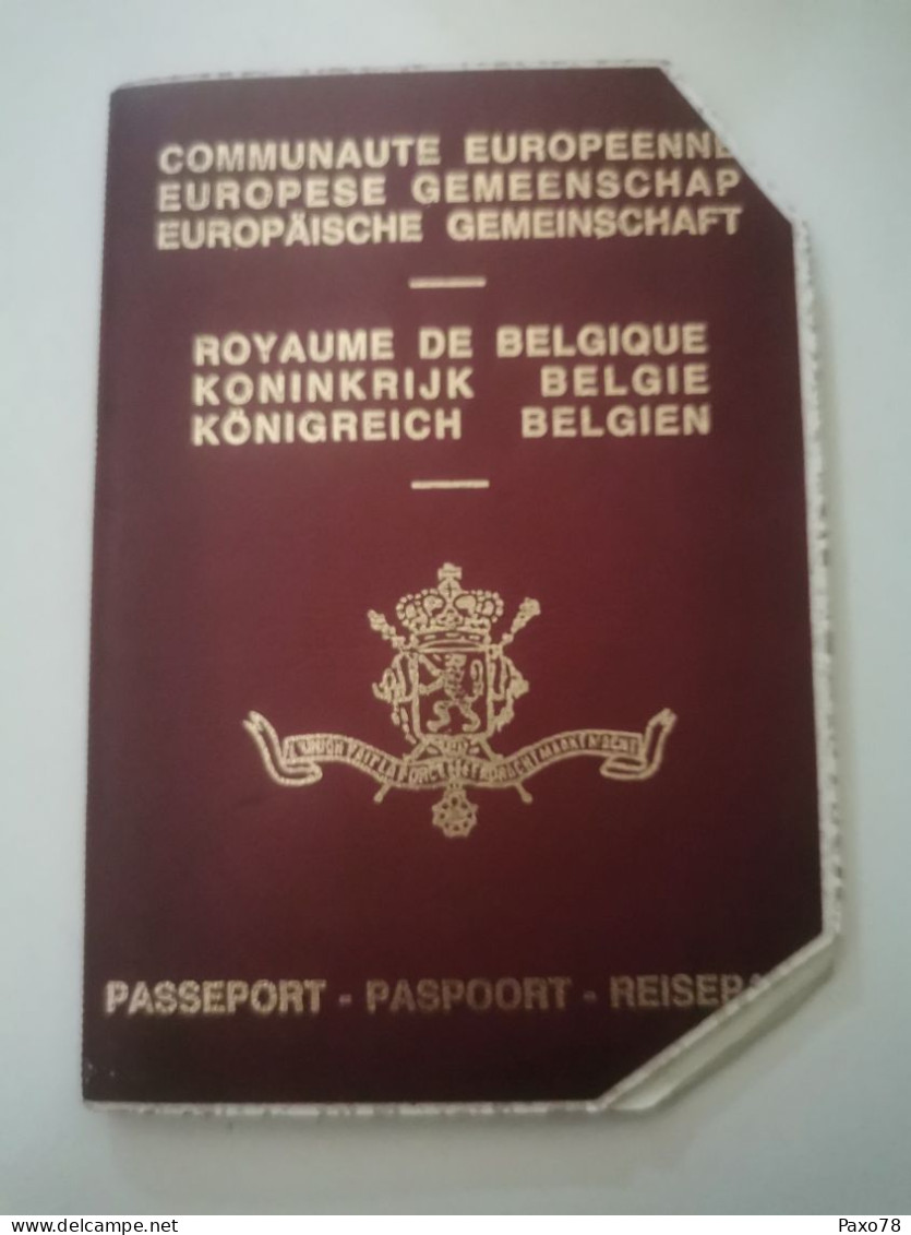Passeport, Royaume De Belgique Avec Cachets Et Timbre 500F - Lettres & Documents