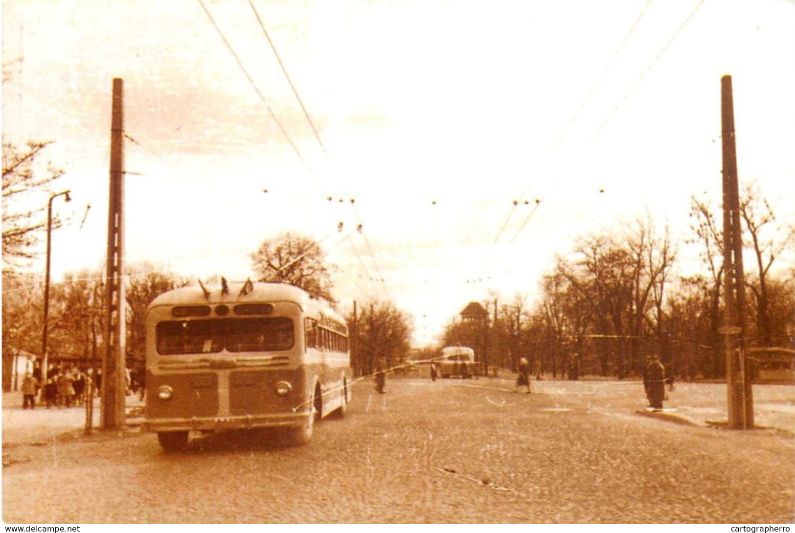 Romania Regia Autonoma De Transport Bucuresti Troleibuz Bd Kiseleff 1954 - Bermuda