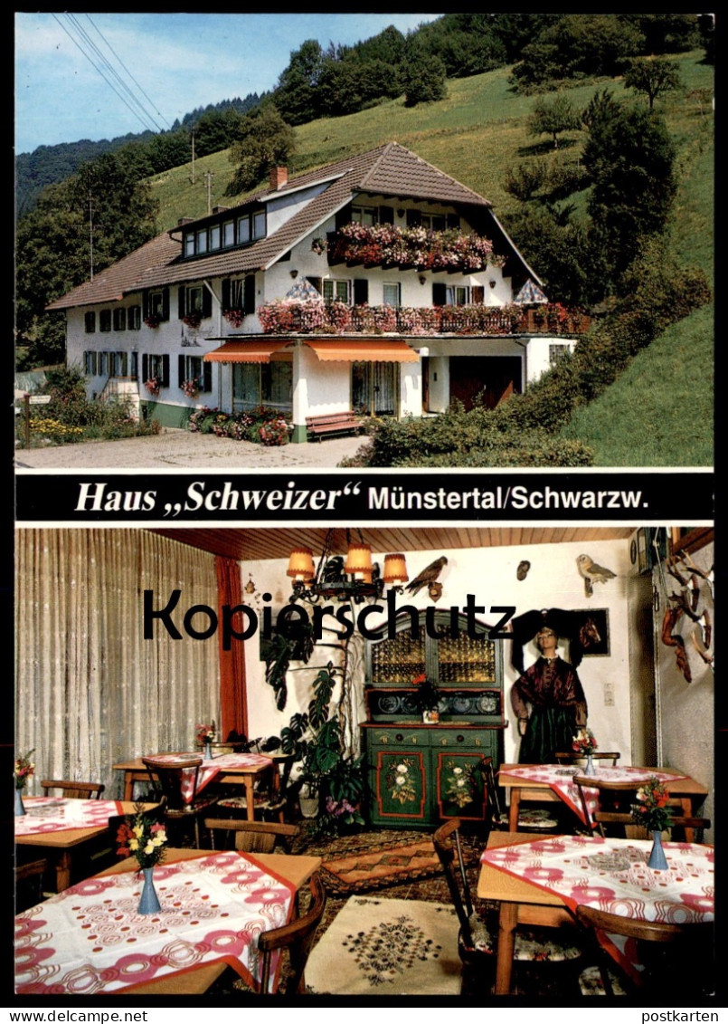 ÄLTERE POSTKARTE MÜNSTERTAL HAUS SCHWEIZER FAMILIE PFEFFERLE ROTENBUCK SCHWARZWALD EULE OWL Ansichtskarte Postcard Cpa - Münstertal