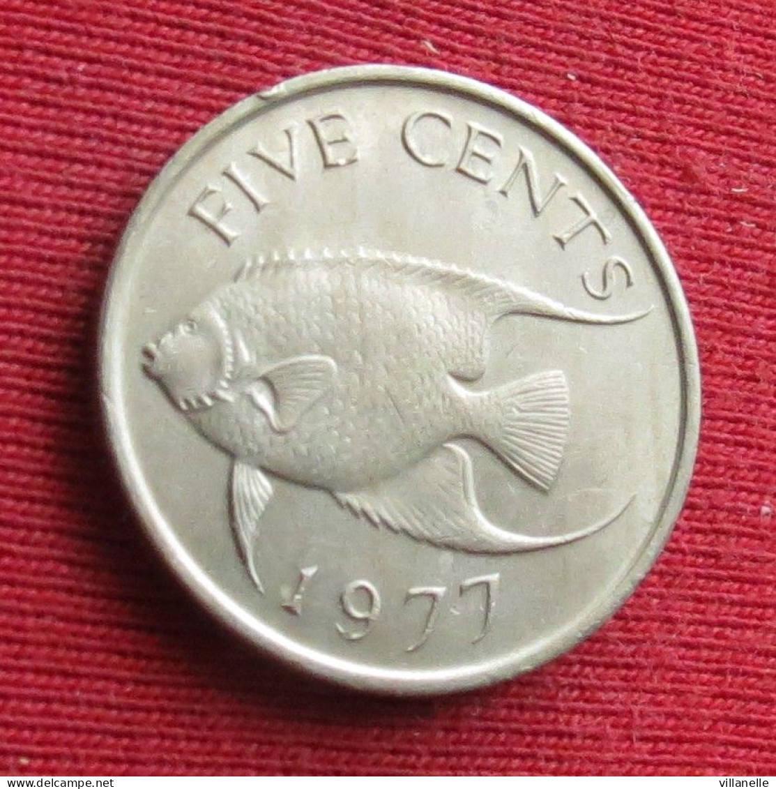 Bermuda 5 Cents 1977 KM# 16 Lt 1508 *VT Fish Bermudes Bermudas - Bermuda