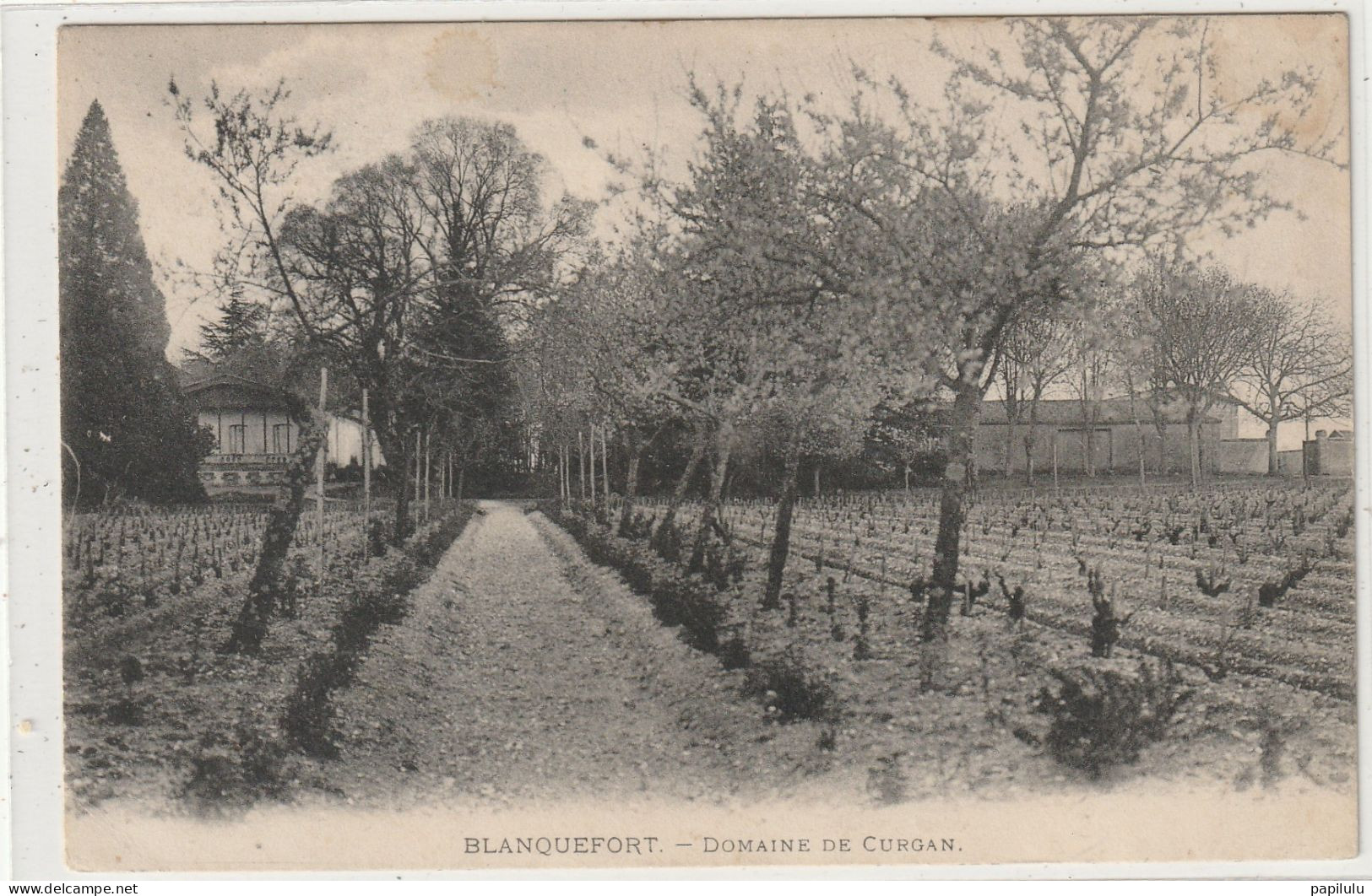 149 DEPT 33 : édit. Vve G Blanquefort , Domaine De Curgan - Blanquefort