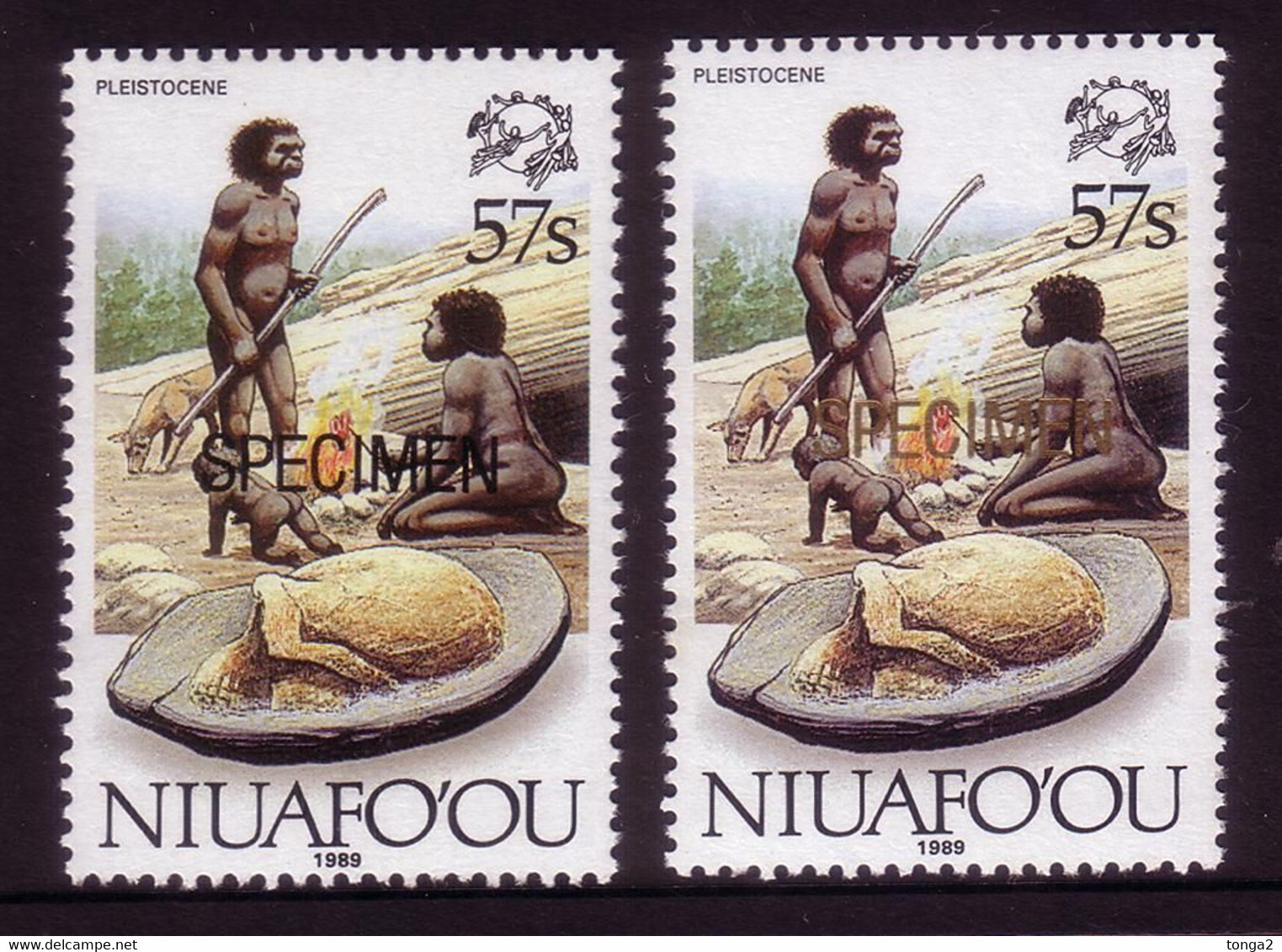 Tonga Niuafo'ou 1989 - Fossil -specimen In Black + Specimen In Gold (scarce) -details In Description - Fossielen
