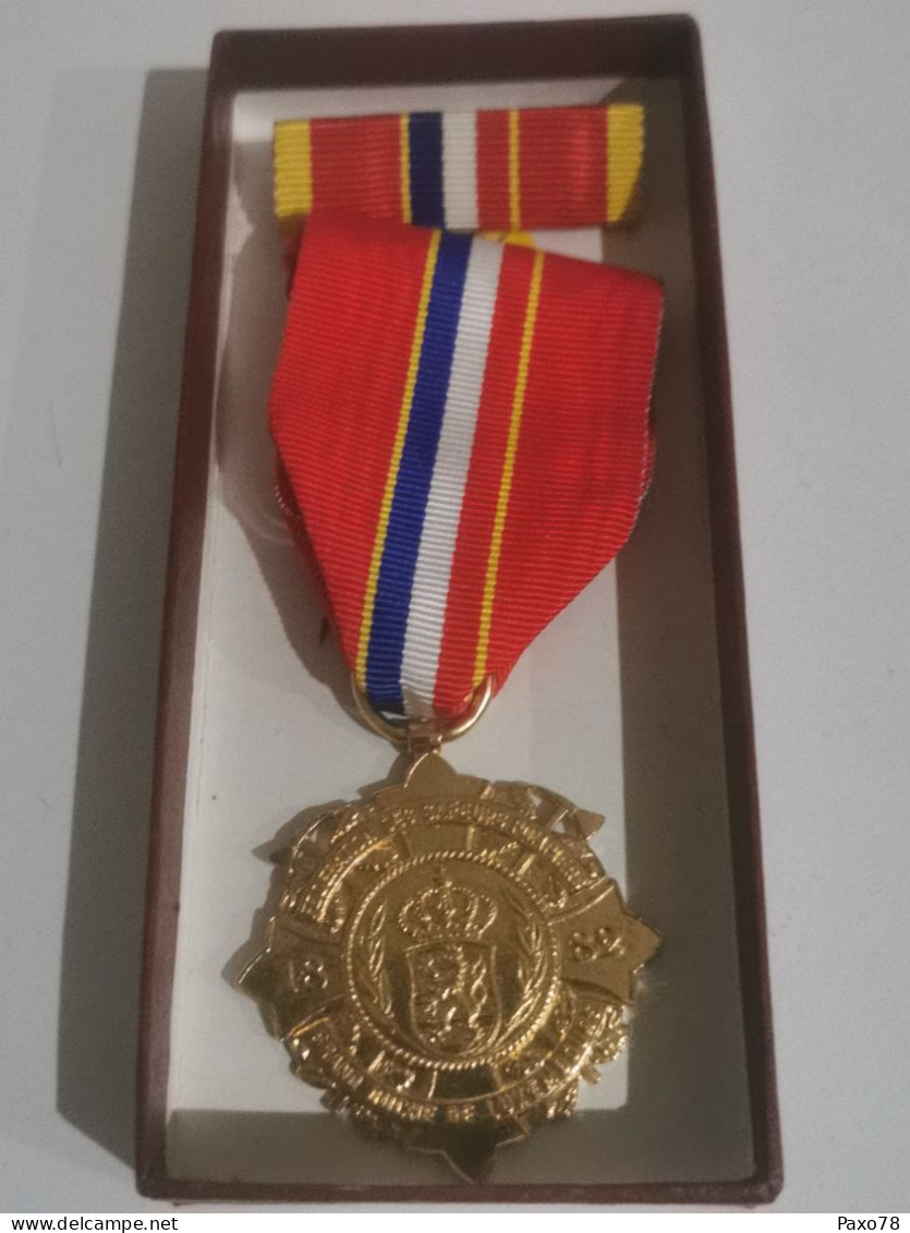 Luxembourg Médaille, Sapeurs Pompiers Luxembourg 1882 - Autres & Non Classés