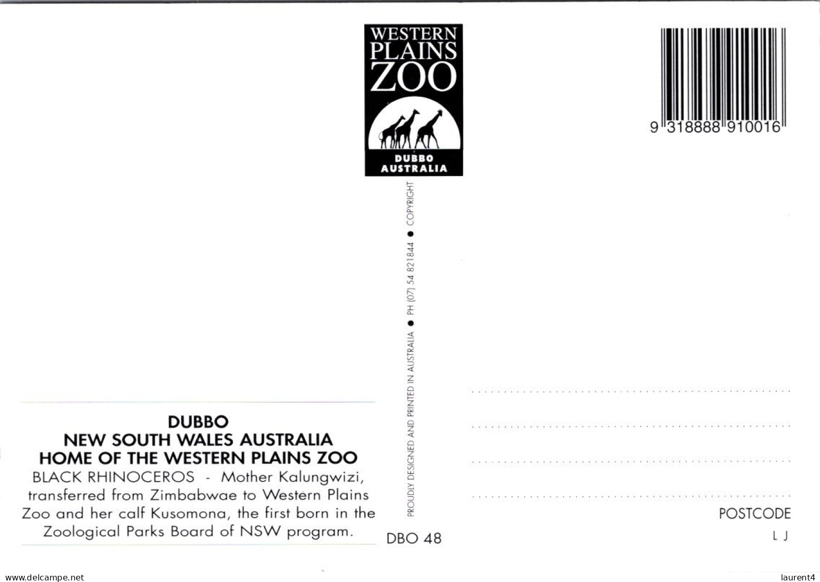 15-9-2023 (1 U 11) Australia - NSW  Dubbo Zoo Black Rhinoceros - Rhinoceros