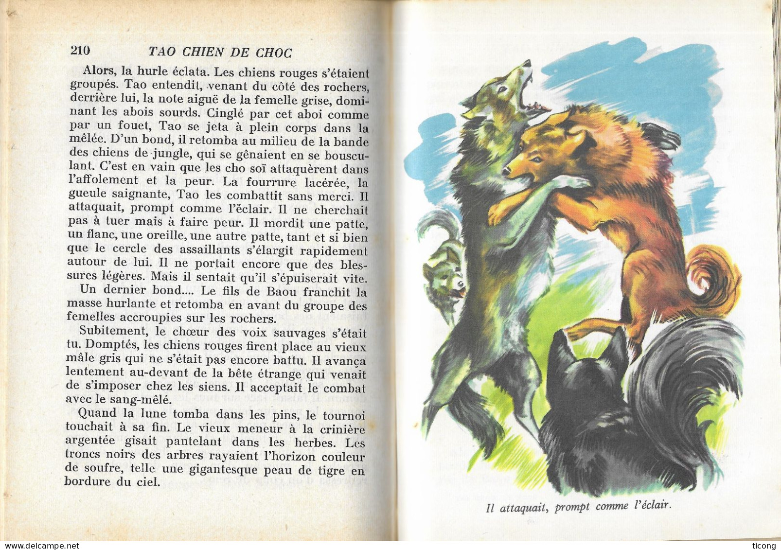 BIBLIOTHEQUE HACHETTE EDITION ORIGINALE 1958 - TAO CHIEN DE CHOC PAR GILLES SAINT CERERE - ILLUSTRATIONS DE HENRI DIMPRE - Hachette