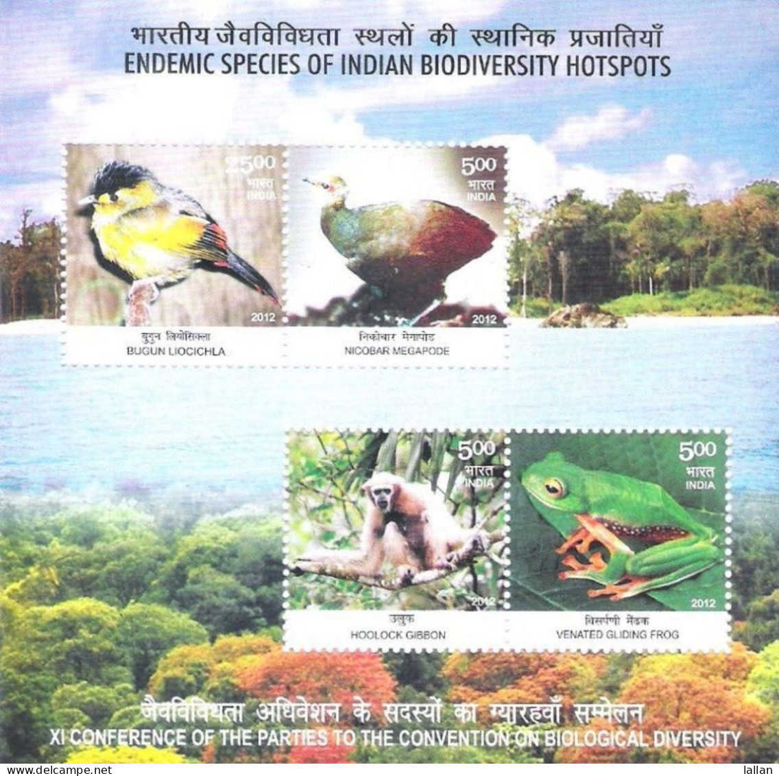 Endemic Species Of Indian Biodicersity Hotspots, Bugun Liocichla, Nicobar Megapode, Hoolock Gibbon, Frog,4V MS,MSALB1P22 - Protection De L'environnement & Climat