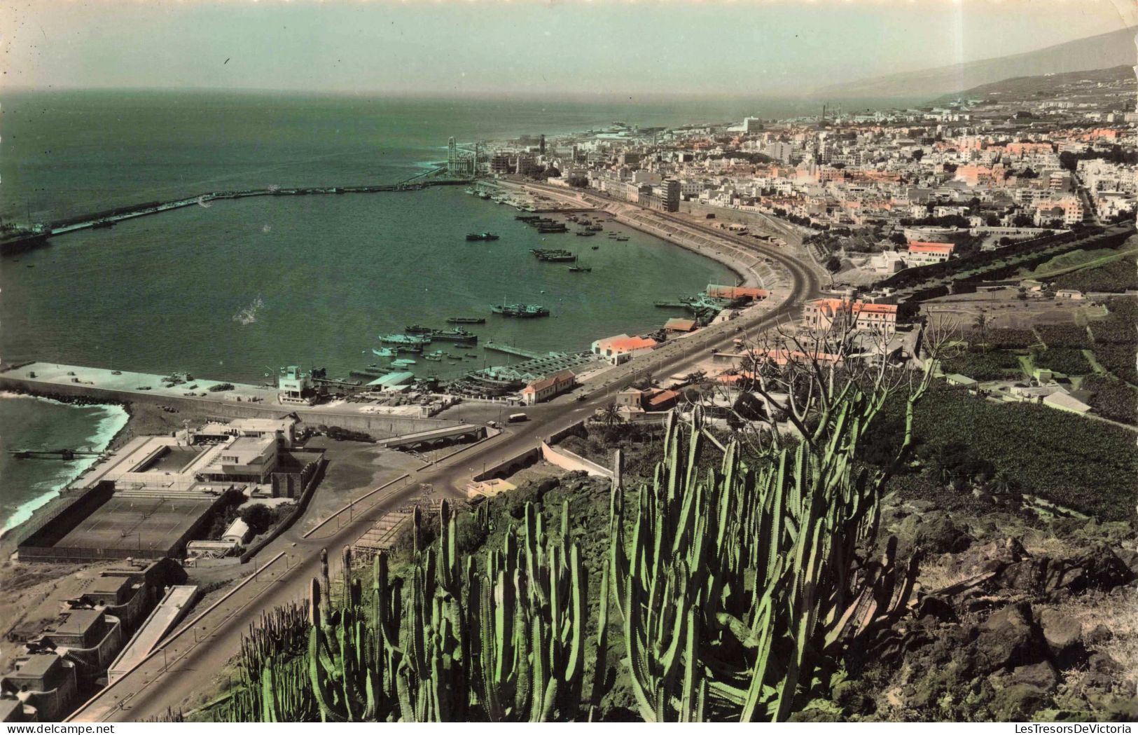 ESPAGNE - Islas Canarias - Santa Cruz De Tenerife -  Colorisé - Carte Postale Ancienne - Tenerife