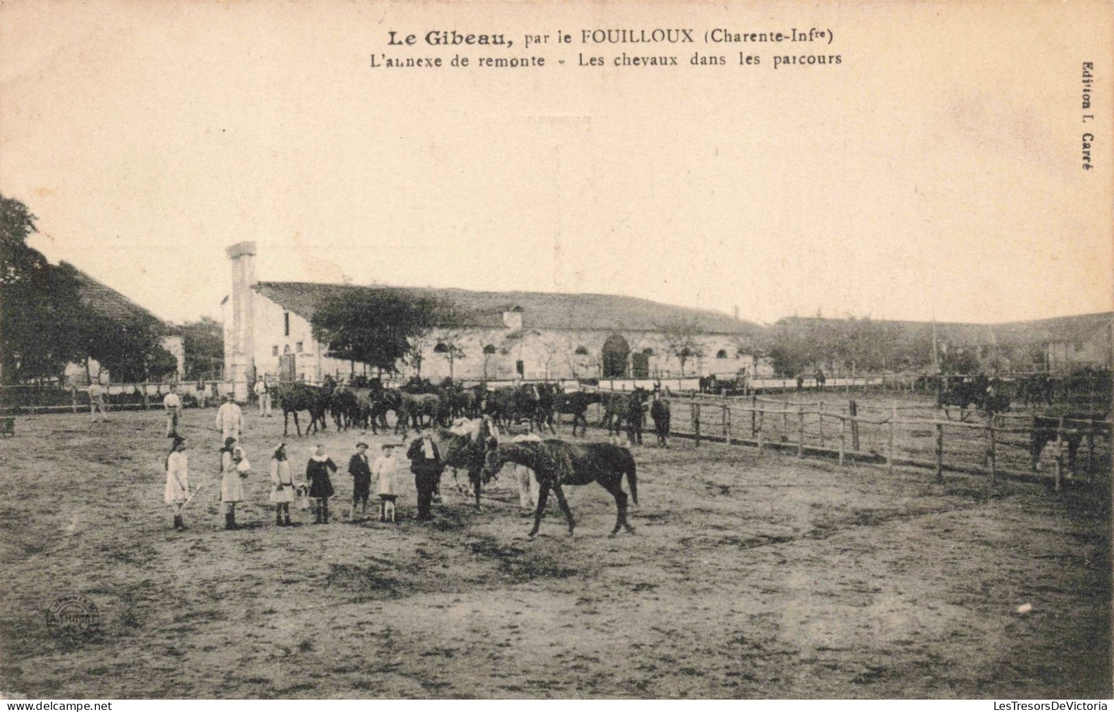 ANIMAUX - Le Gibeau Par Le Fouilloux - L'annexe De Remonte - Les Chevaux Dans Les Parcours - Carte Postale Ancienne - Pferde