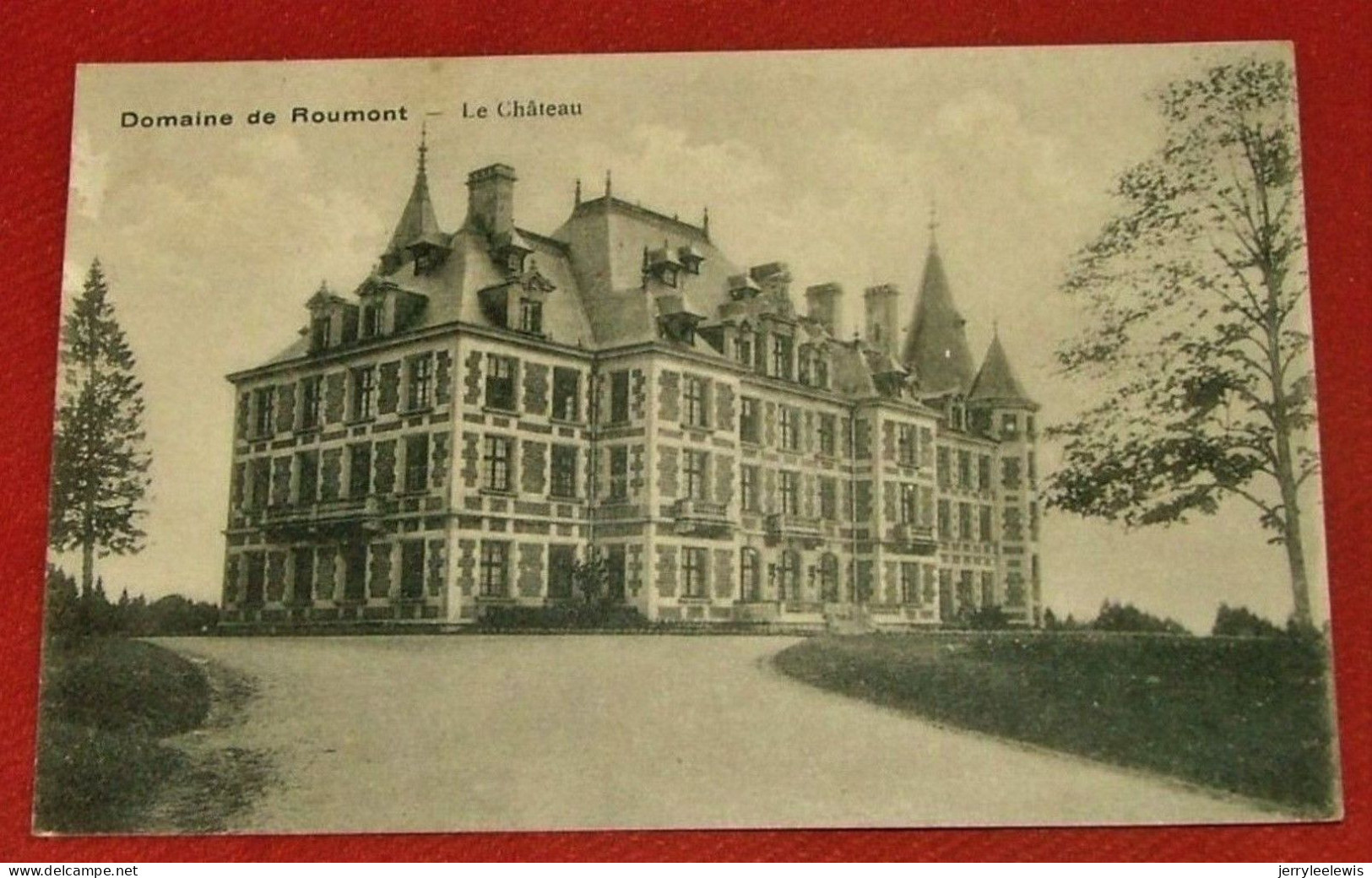 LIBIN  -  Domaine De Roumont  -  Le Château - Libin