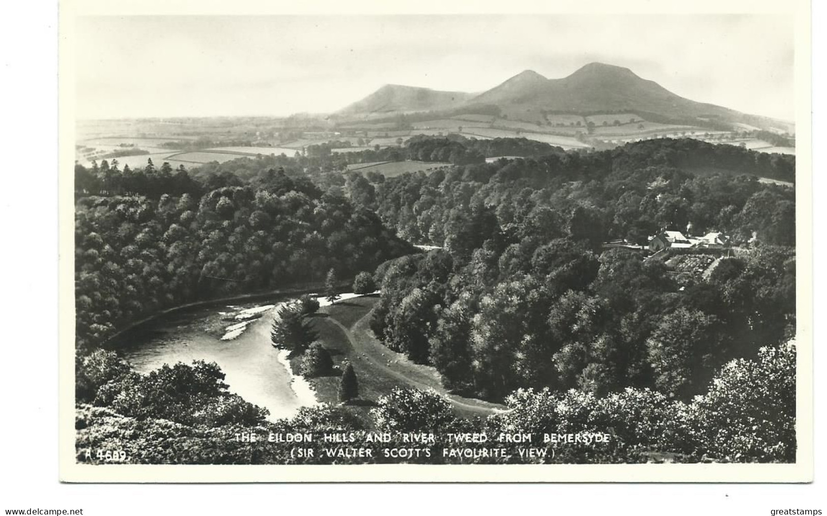 Scotland  Postcard  The Eidon Hills And River Tweed  J.b. White Rp Unused - Roxburghshire