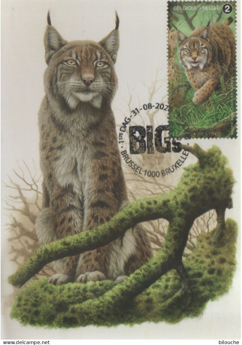 BUZIN / CARTE MAX / COB 4938 / LES BIG 5 D'EUROPE / LYNX BOREAL - 2011-..