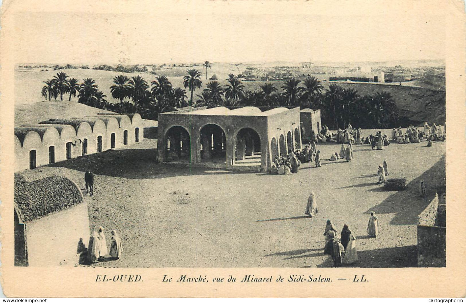 Africa Algeria  El Oued Le Marche Vue Du Minaret De Sidi-Salem Ethnic - El-Oued