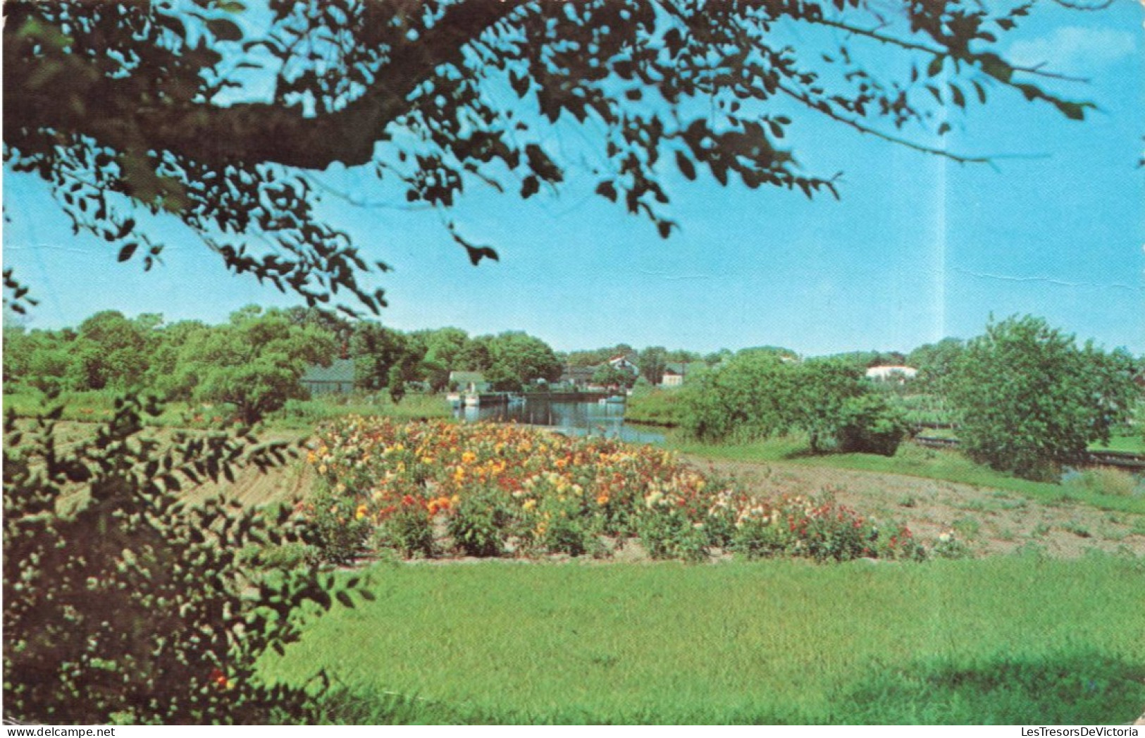 ETATS UNIS - Long Island - Westhampton Beach - Colorisé - Carte Postale Ancienne - Long Island