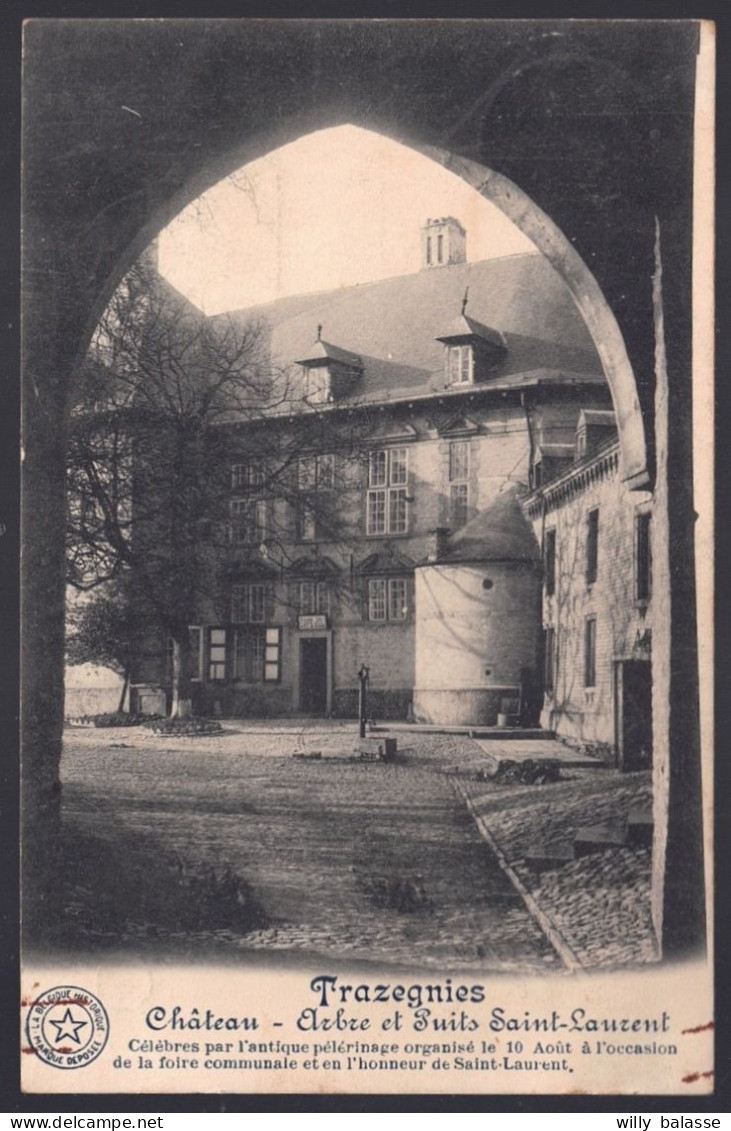 +++ CPA - TRAZEGNIES - Château - Arbre Et Puits St Laurent  // - Courcelles