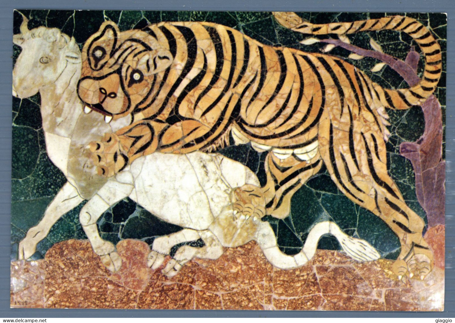 °°° Cartolina - Roma N. 2946 Tigre Che Assale Un Vitello Nuova °°° - Musei