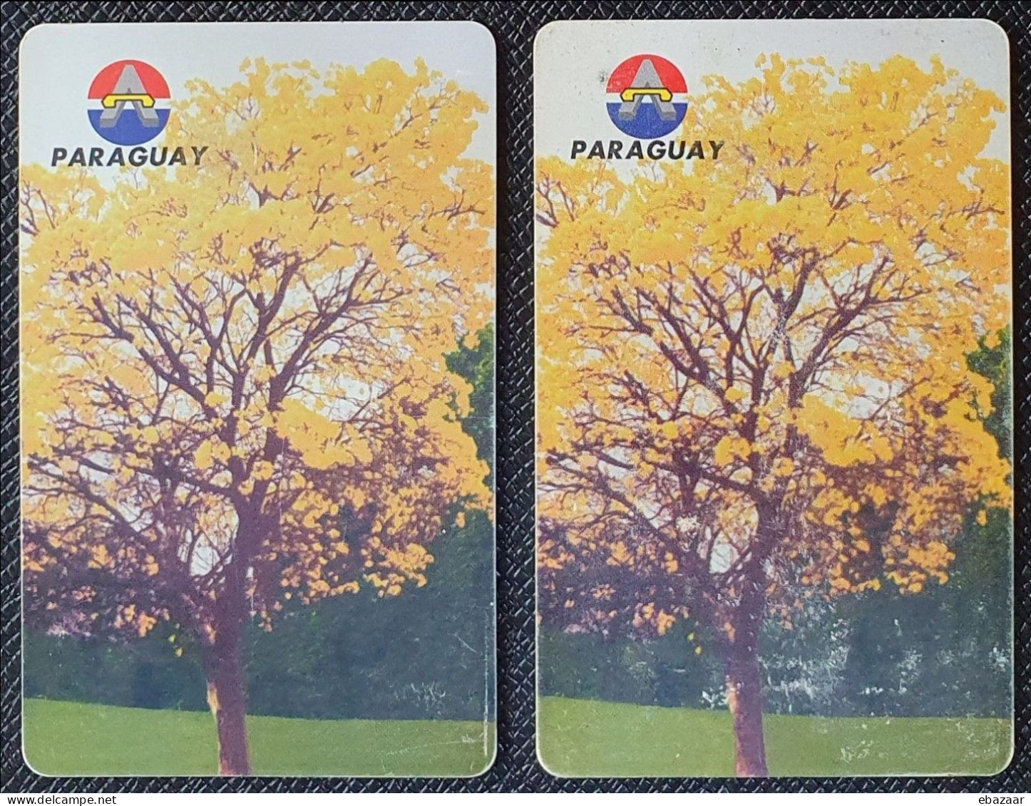 Paraguay 2 Chip Phonecards 10 & 30 Impulsos Used + FREE GIFT - Paraguay