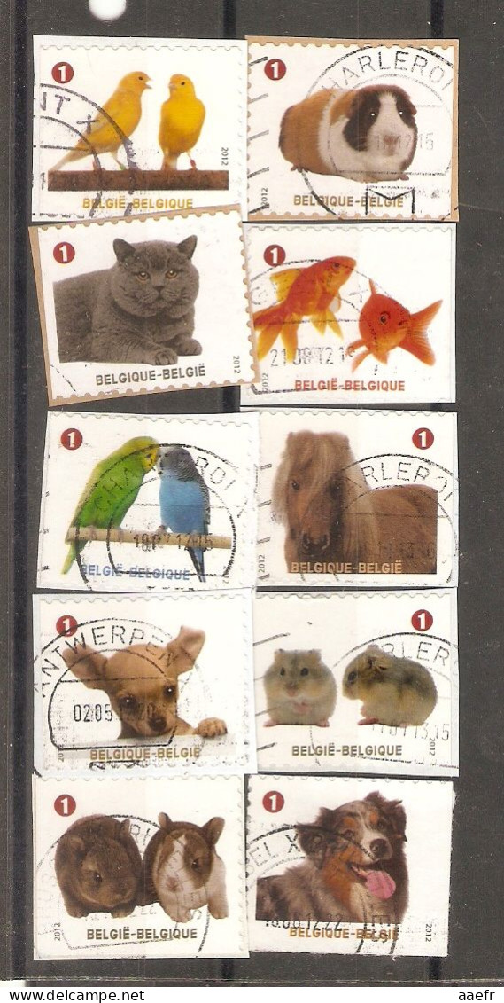 Belgique 2012 - Animaux De Compagnie - Petit Lot De 10 Timbres° Du Carnet B128 - 10 Différents Sur Fragments - Sin Clasificación