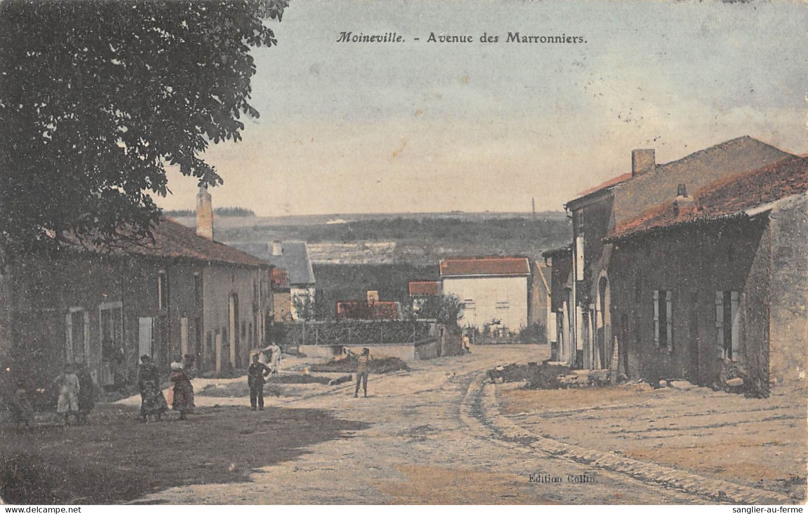 CPA 54 MOINEVILLE / AVENUE DES MARRONNIERS - Altri & Non Classificati