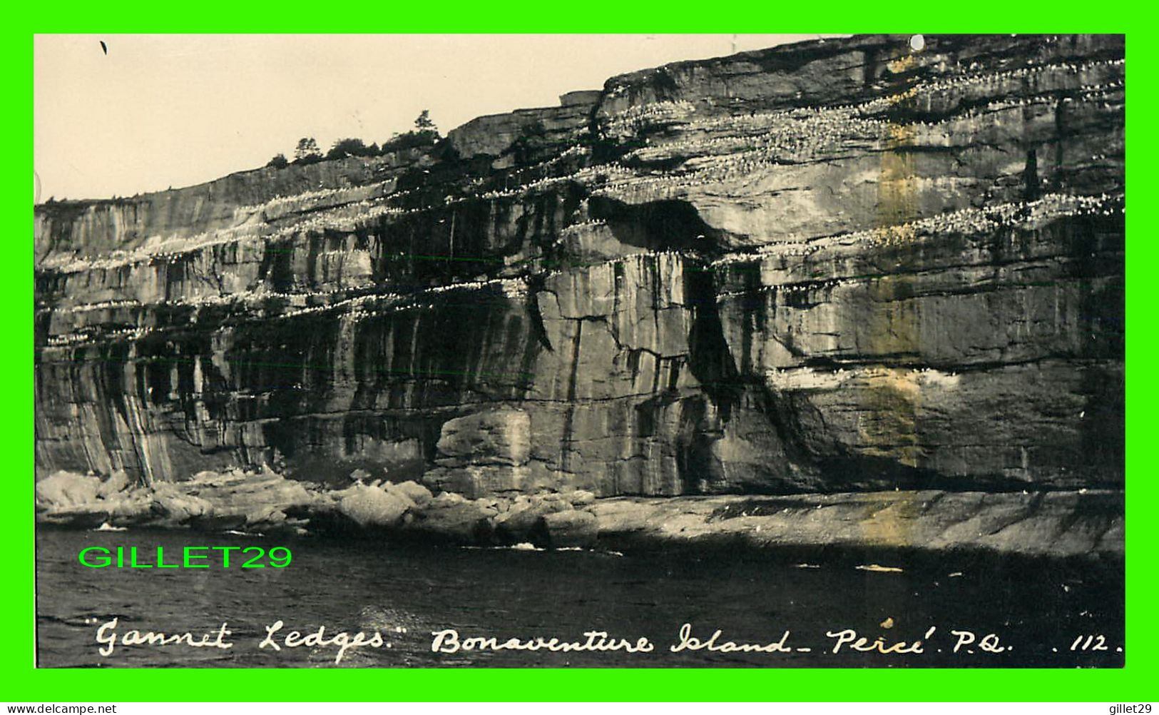 PERCÉ, QUÉBEC - GANNET LEDGES, BONAVENTURE ISL;AND - CARTE PHOTO - - Percé