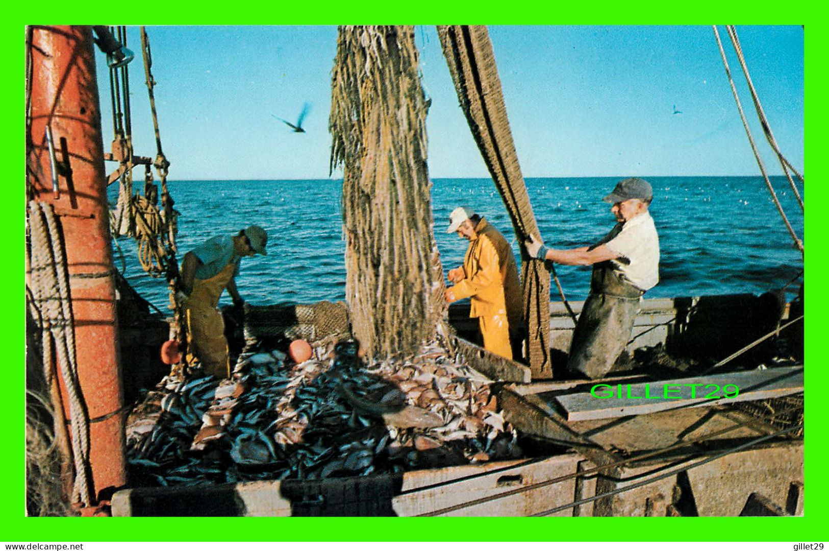 CAPE COD, MA - COMMERCIAL FISHING BOAT - TRAVEL IN 1975 - PUB. BY J. LAZARUS - - Cape Cod