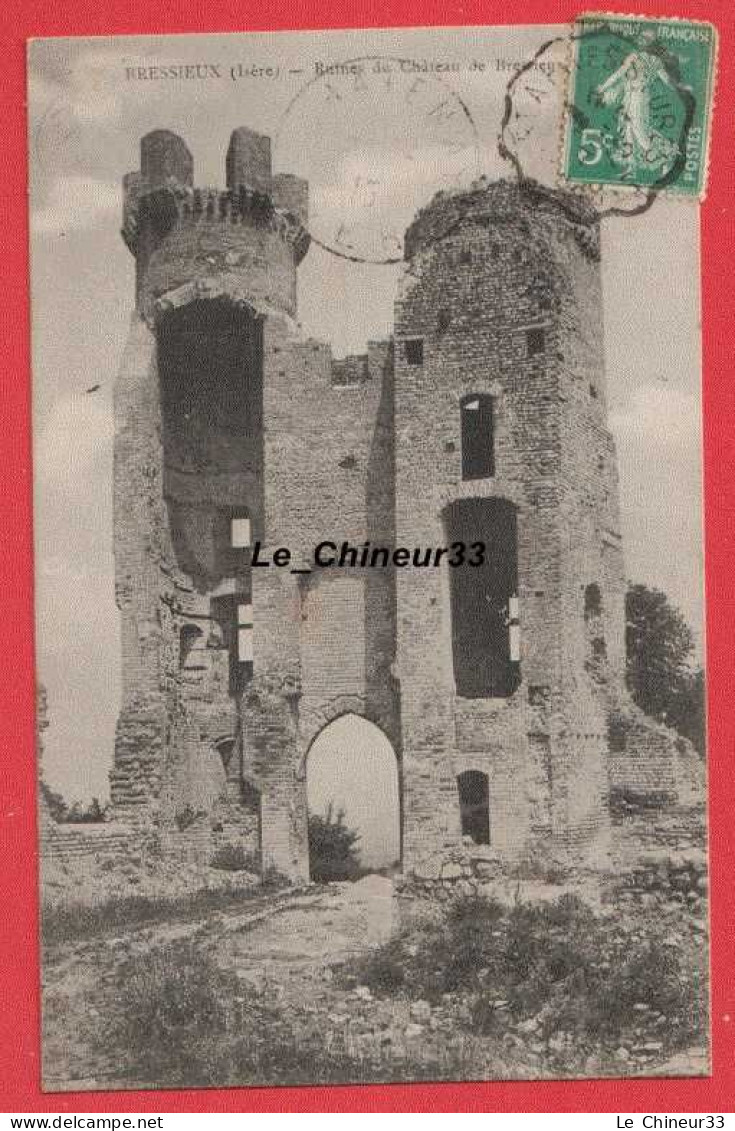 38 - BRESSIEUX----Ruines Du Chateau De Bressieux - Bressieux