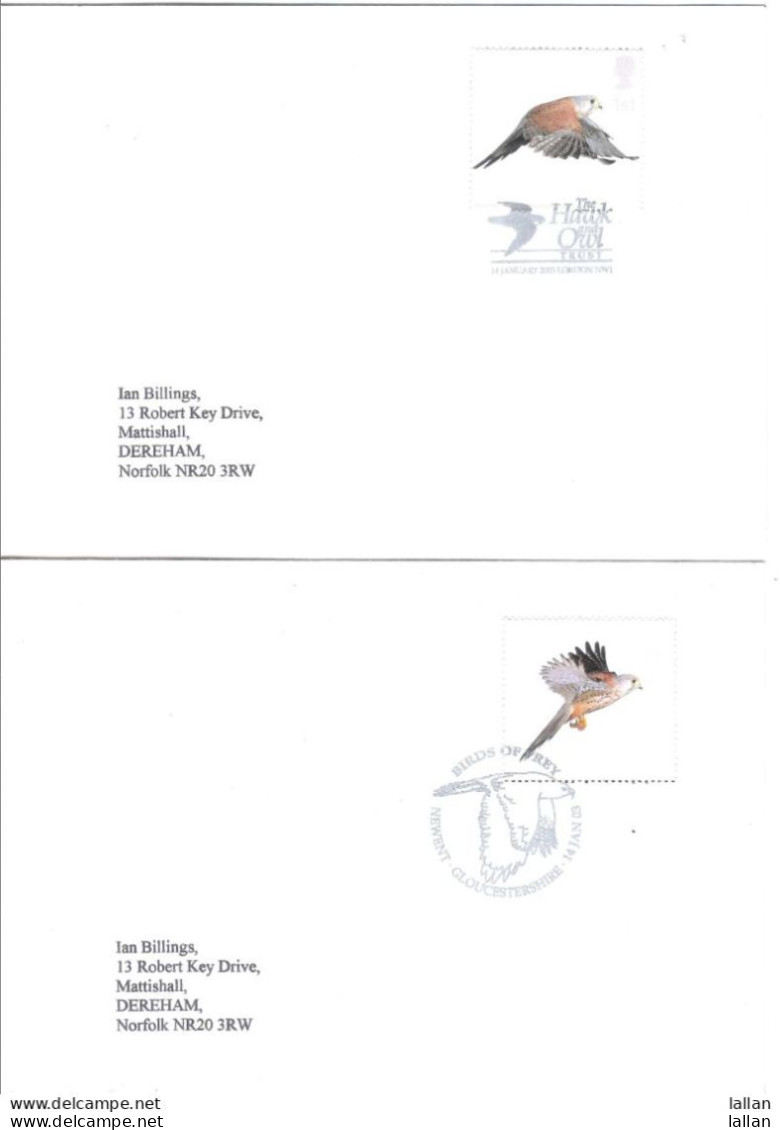 12-FD Postmark, Birds Of Prey On Envelope, 2003, GB, Condition As Per Scan-SGFD2 - Aigles & Rapaces Diurnes