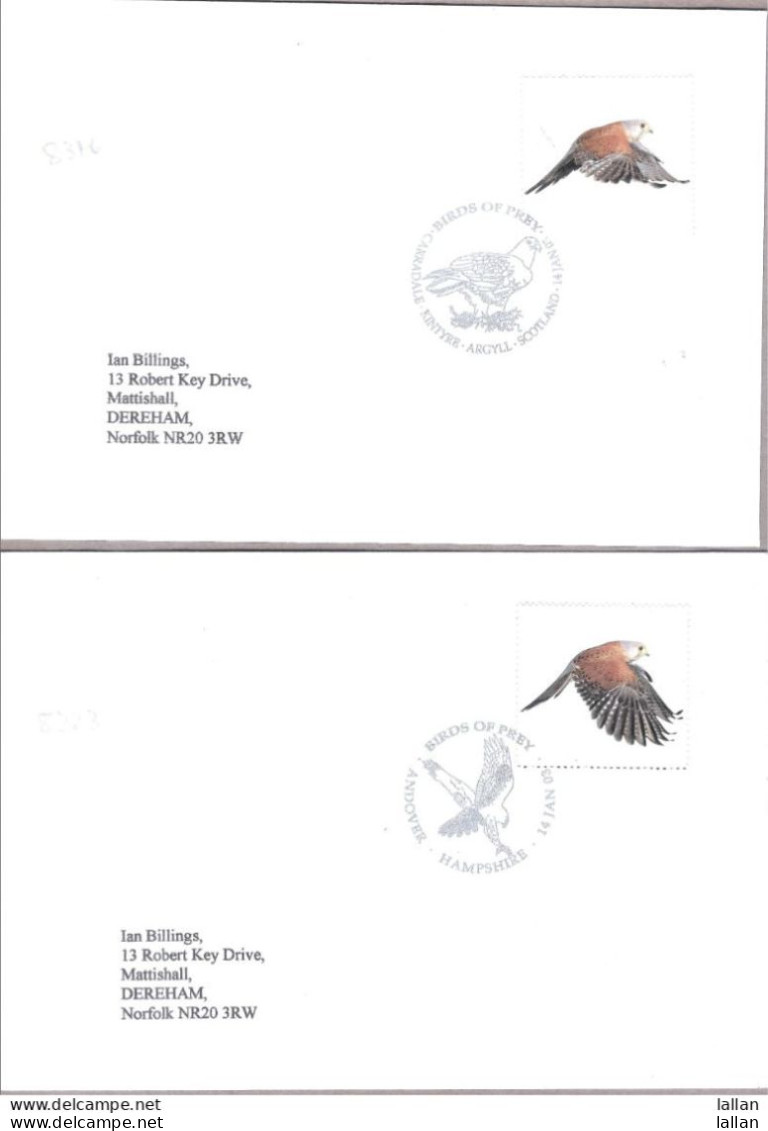 12-FD Postmark, Birds Of Prey On Envelope, 2003, GB, Condition As Per Scan-SGFD2 - Aigles & Rapaces Diurnes